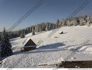 background forest winter 0018